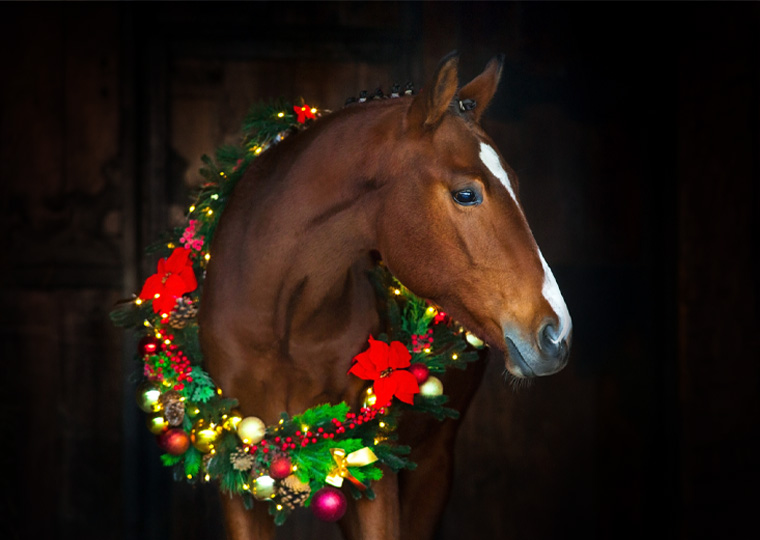 Natale nel mondo dell’equitazione – idee regalo e momenti festivi in scuderia