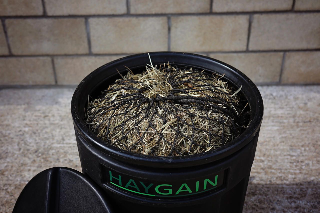 HAYGAIN HG One Hay Steamer