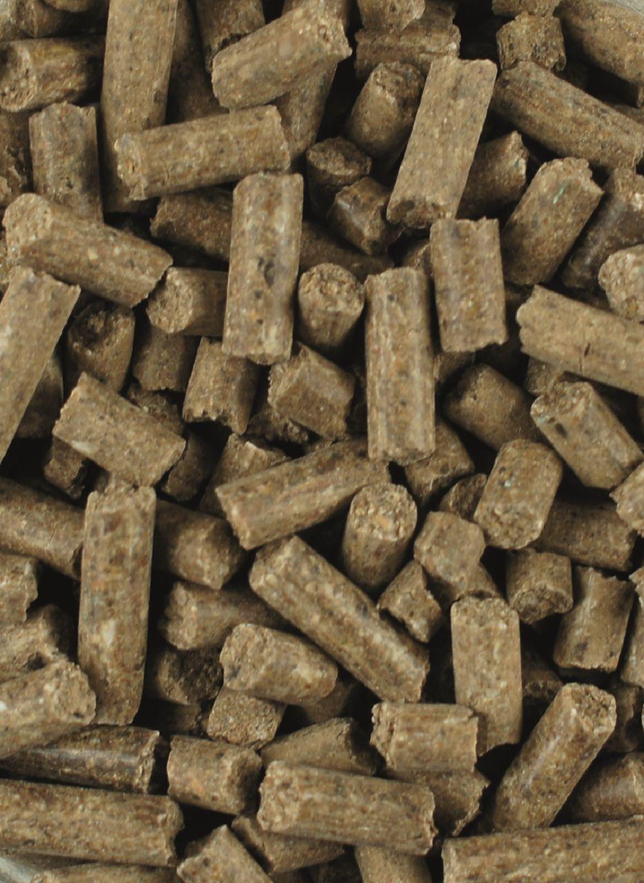 LEXA Junior Mineral