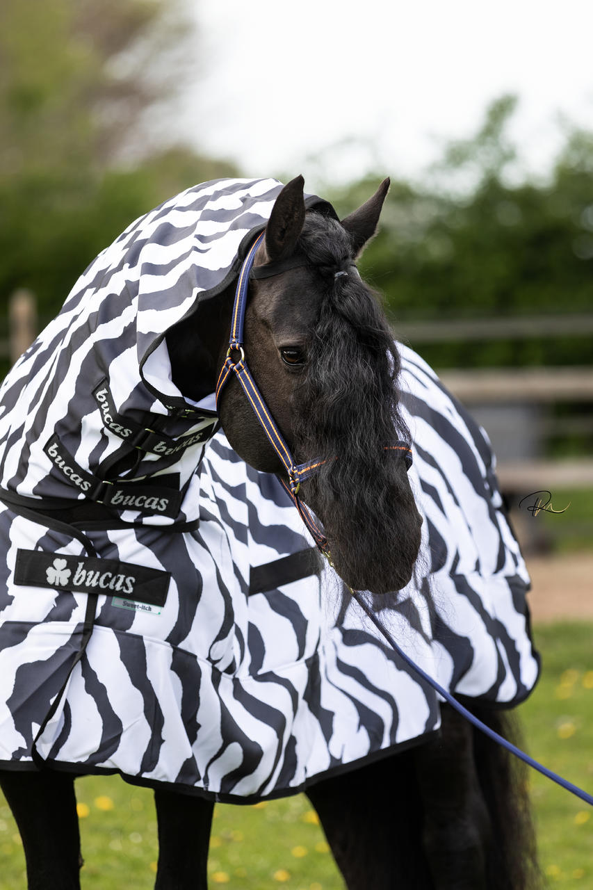 Bucas Buzz-Off Zebra Full Neck