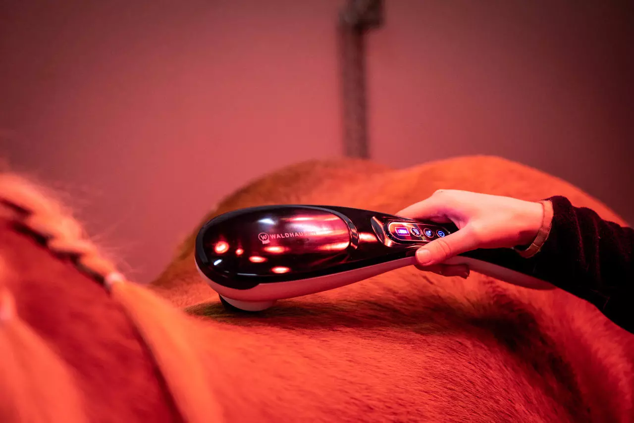 Waldhausen Health + Care Massagegerät GO-Anywhere