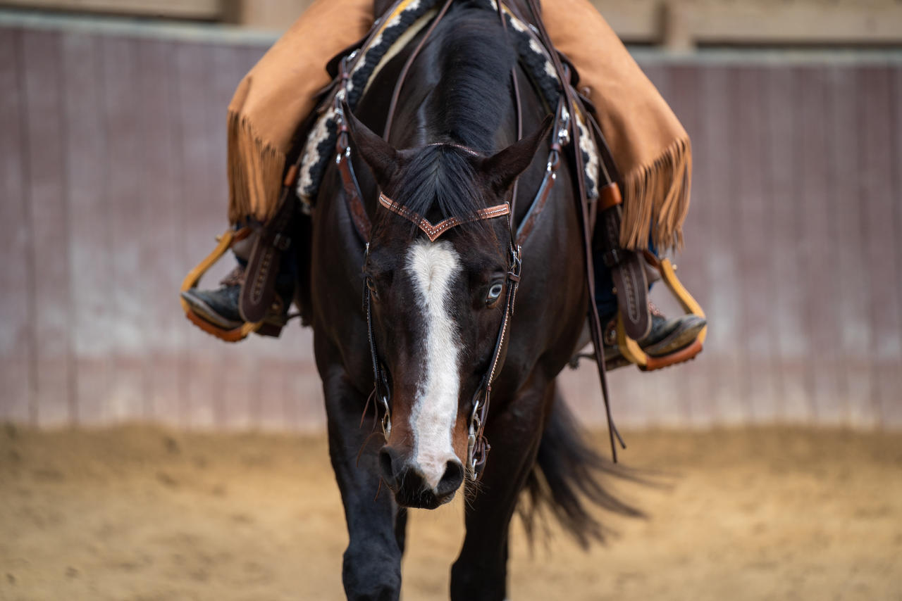Briglia western con motivo intrecciato