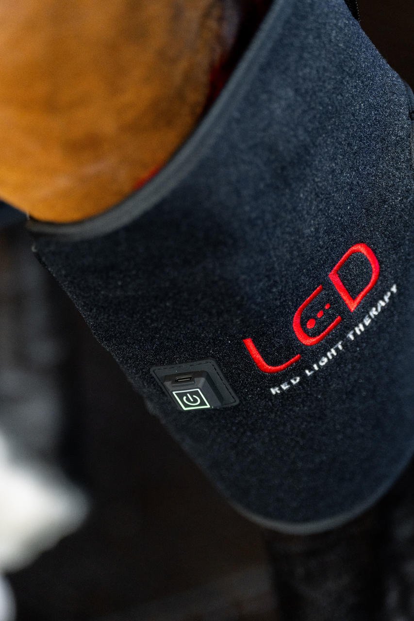 Horseware Protège-Jarret de Thérapie par Lumière Rouge LED