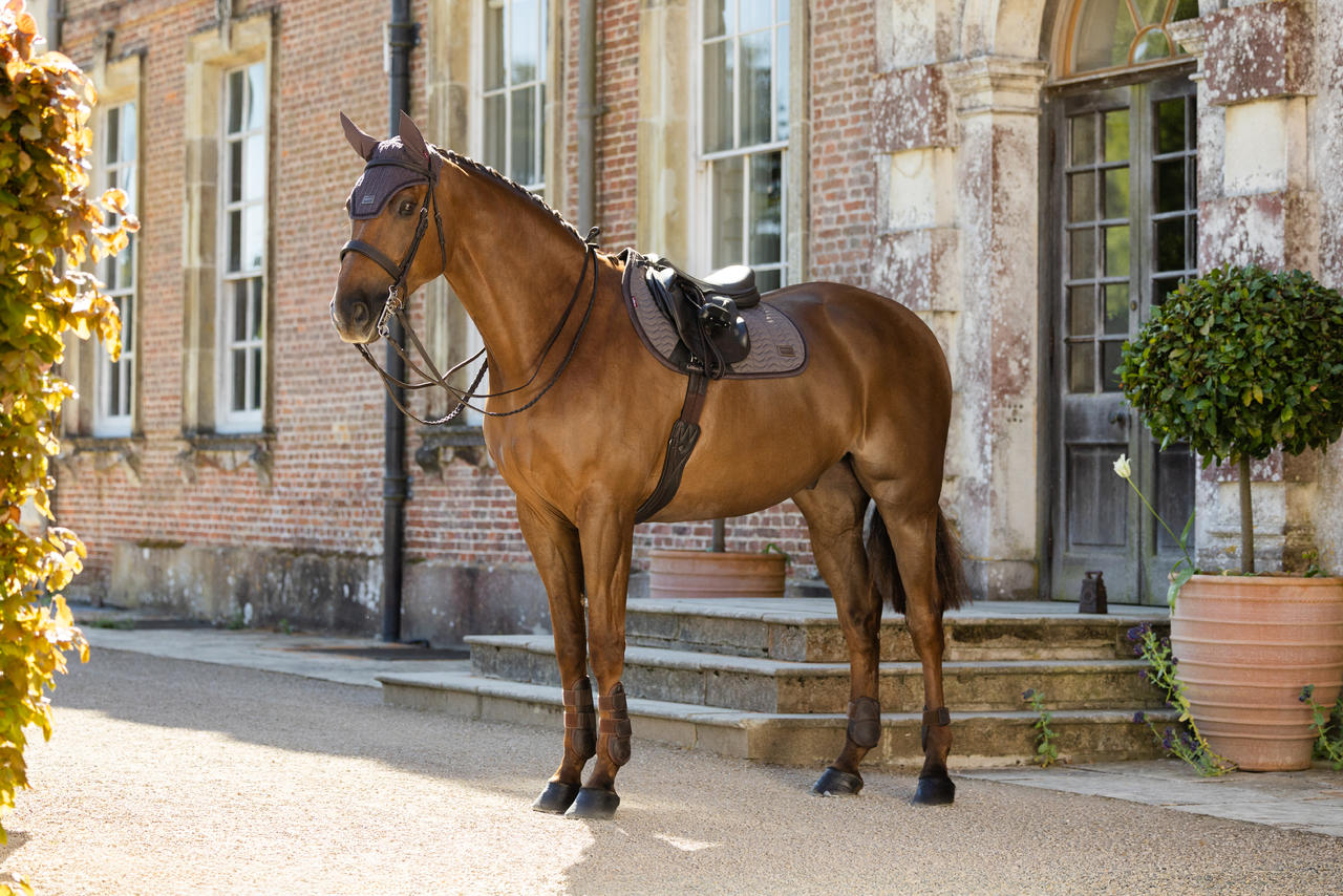 LeMieux Heritage Herringbone Springschabracke
