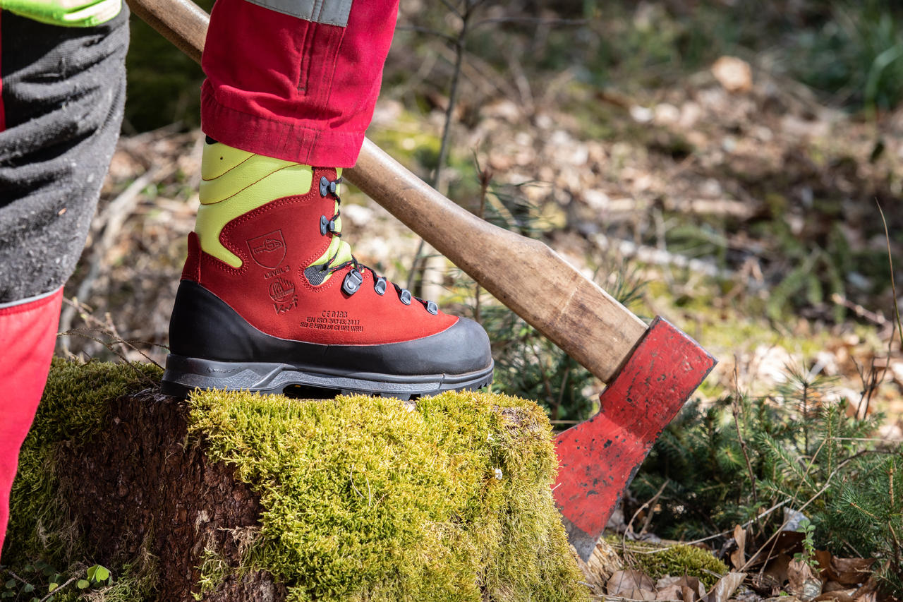 Haix Protector Forest 2.1 GTX