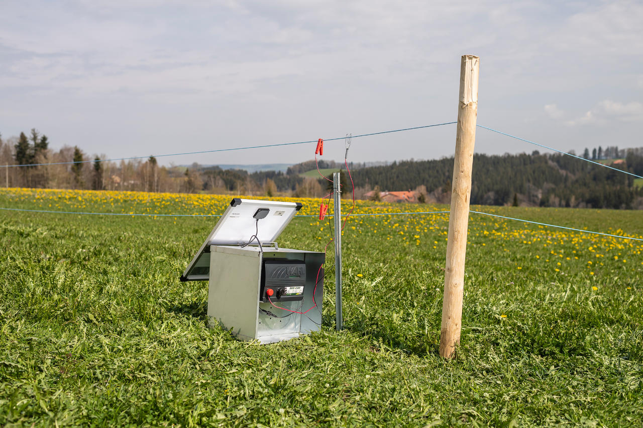 AKO Cassetta metallica per batterie per elettrificatori da 12 V