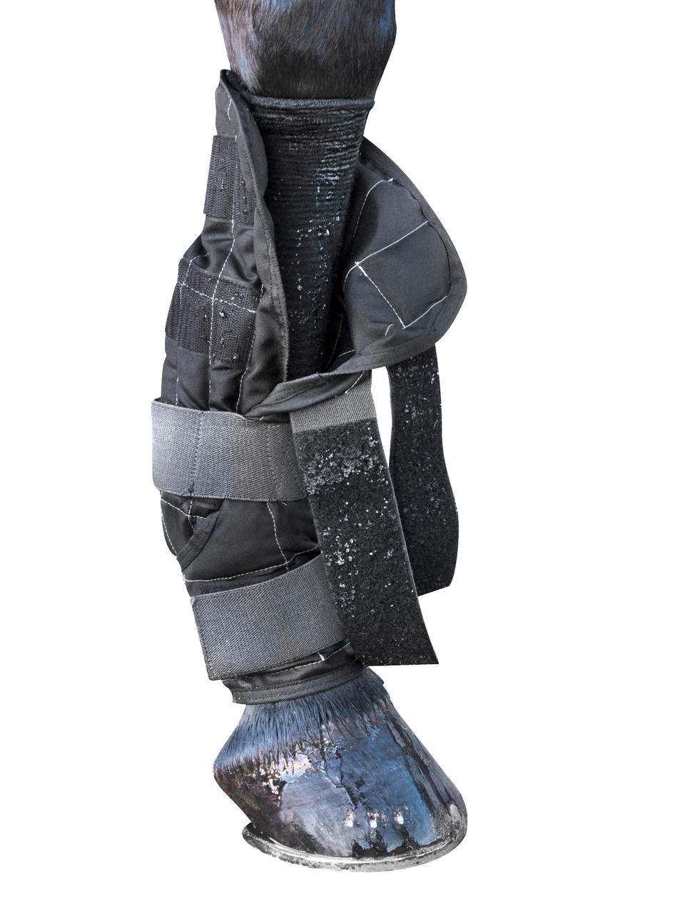 LeMieux Cold Water Boots, 2er Set