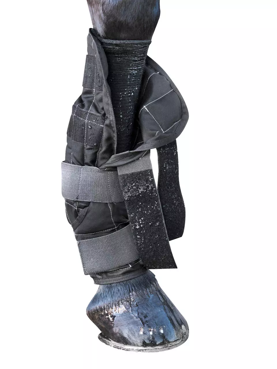 LeMieux Cold Water Boots, 2er Set