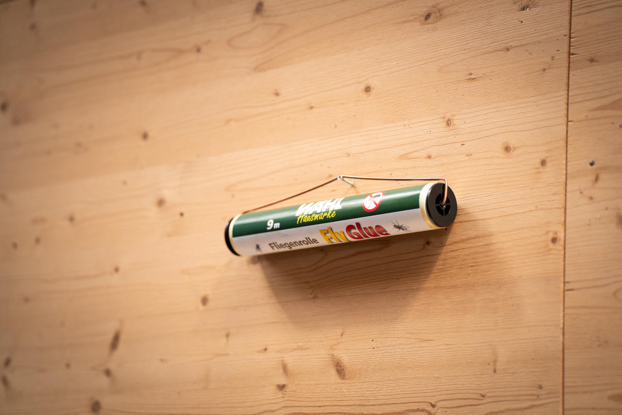 WAHL-Hausmarke Rotolo antimosche FlyGlue