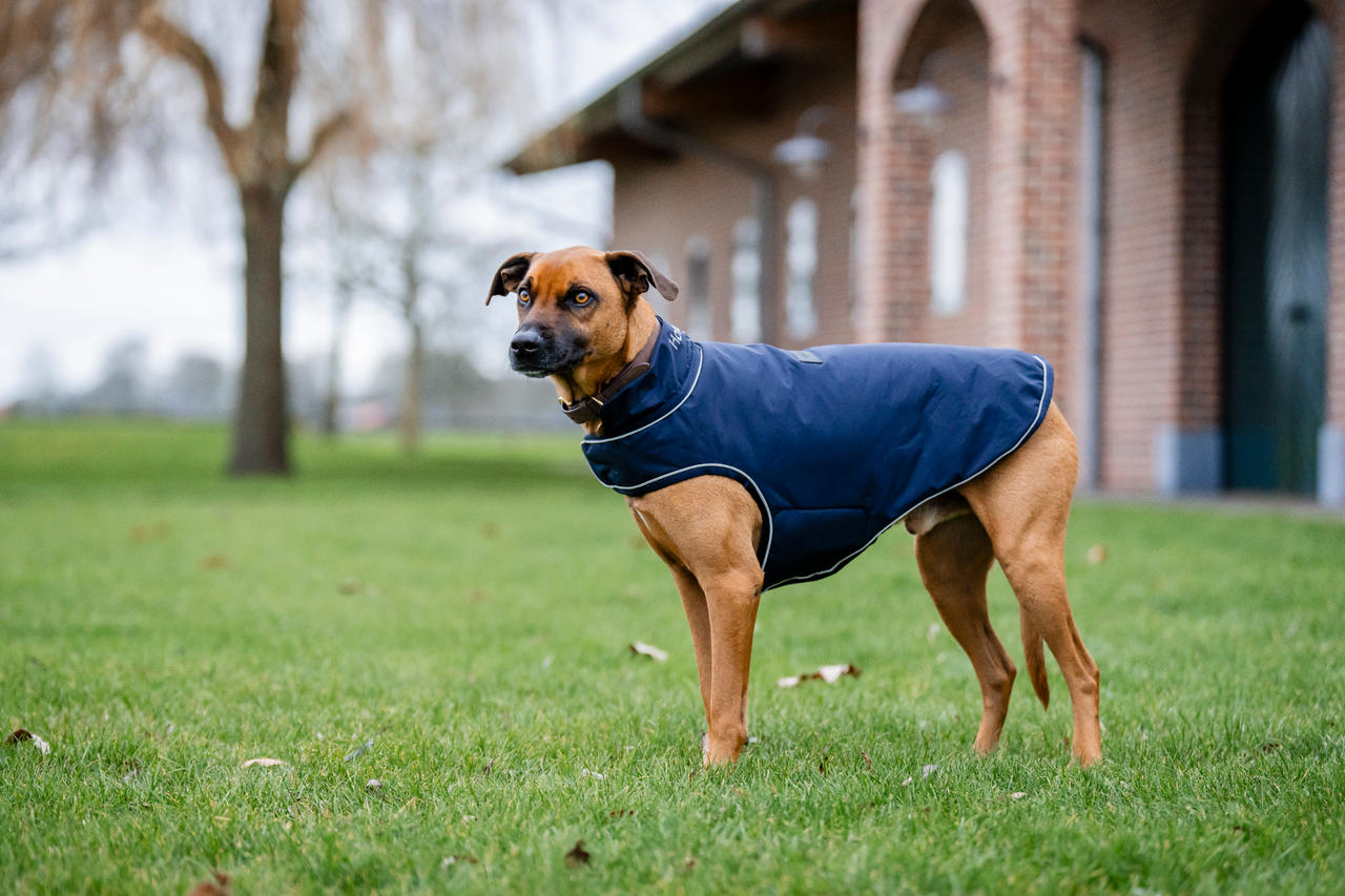 Horseware Signature Dog Rain Coat 100g