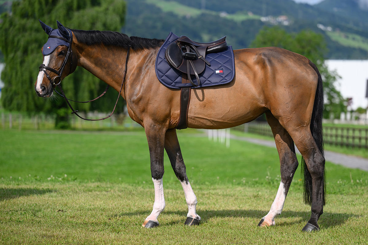 Tommy Hilfiger Columbia Jumping Saddle Pad