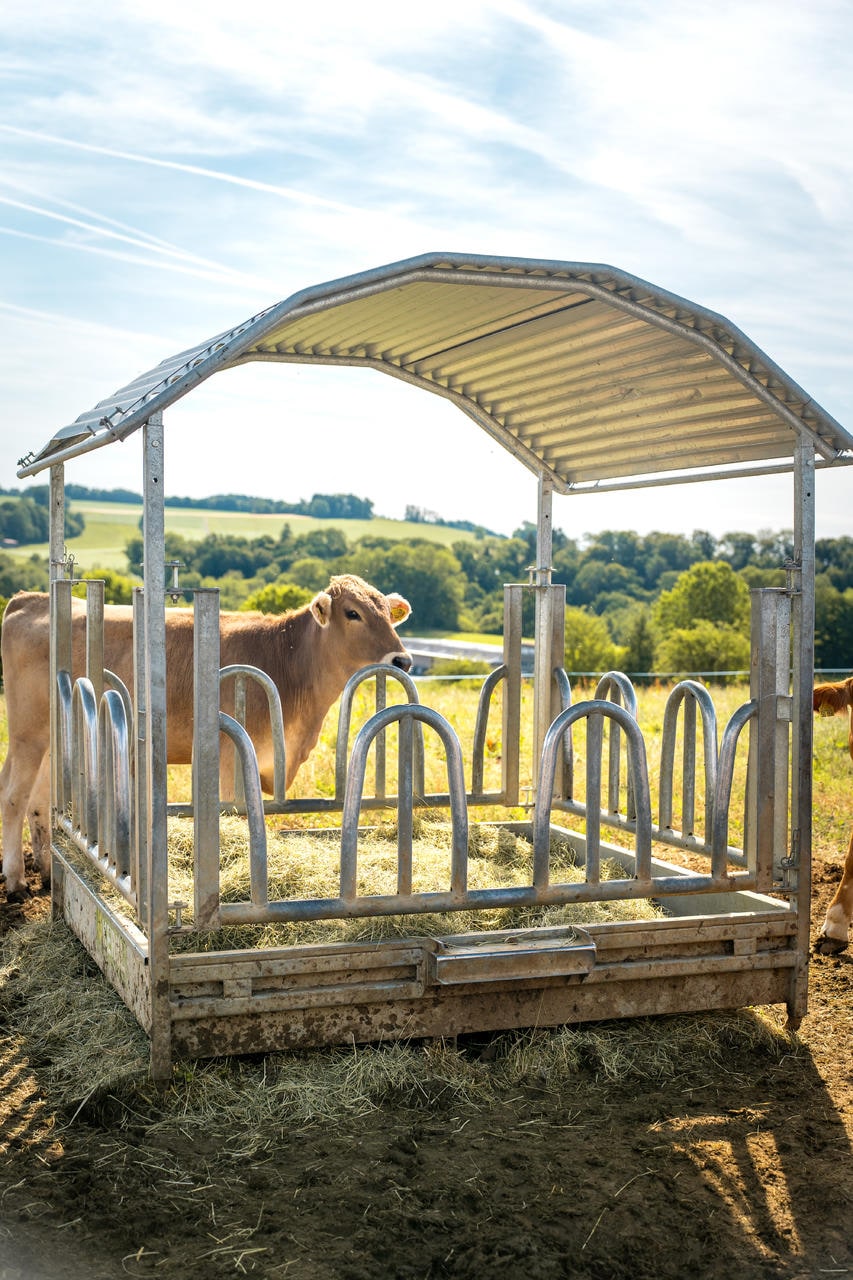 Kerbl Viereckraufe Standard 2,3 x 2,3 x 2,5 m