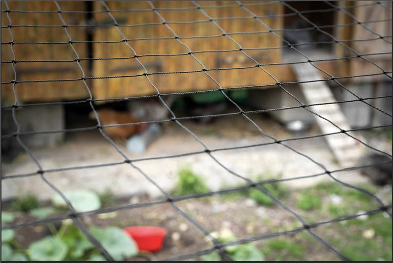 WAHL-FENCE Geflügelschutznetz 10 x 20 Meter