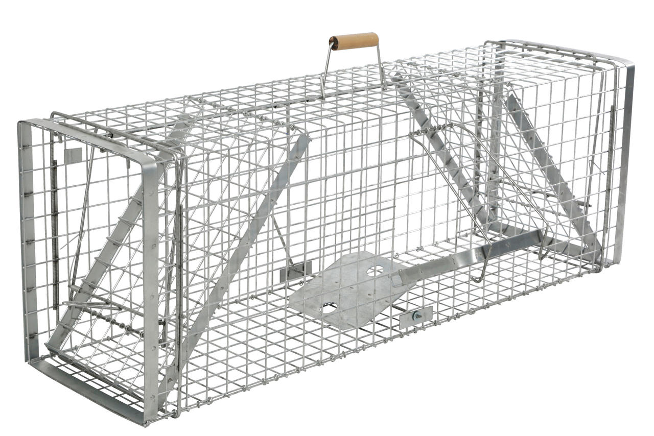 cit Kastenfalle Alive Predator Super 120 x 33 x 42 cm