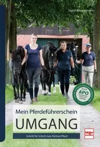 Mein Pferdeführerschein Umgang Mein Pferdeführerschein Umgang