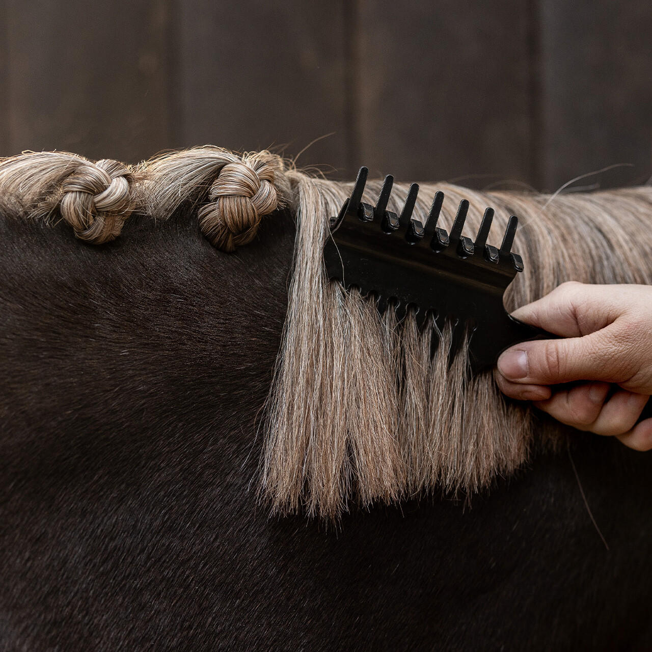 Q-Essentials Pettine per criniera con clip