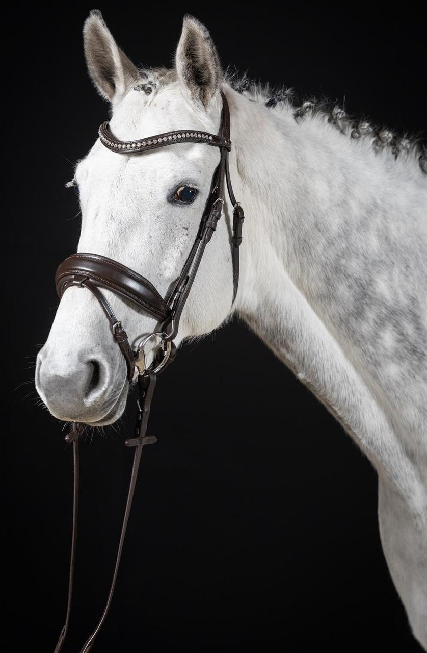 Hans Melzer Snaffle Wiesbaden Comfort Pettine svedese.