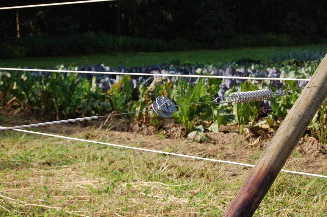 AKO TopLine Horse Wire, 200m