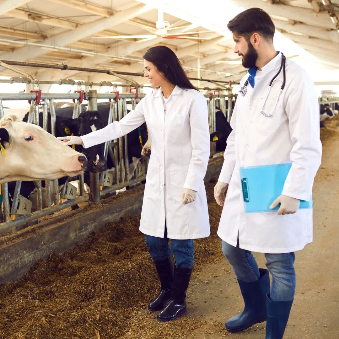 Veterinärartikel