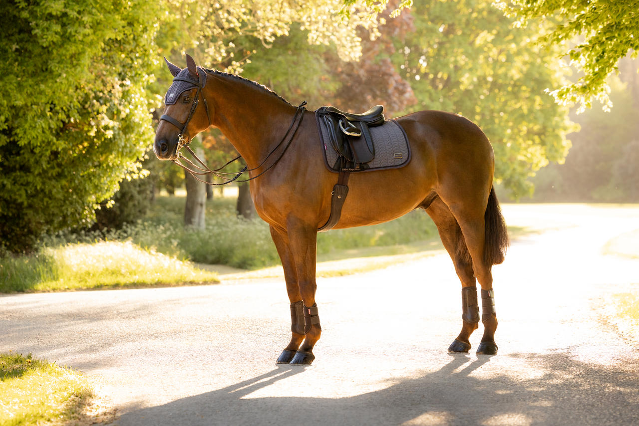 LeMieux Heritage Herringbone Dressurschabracke