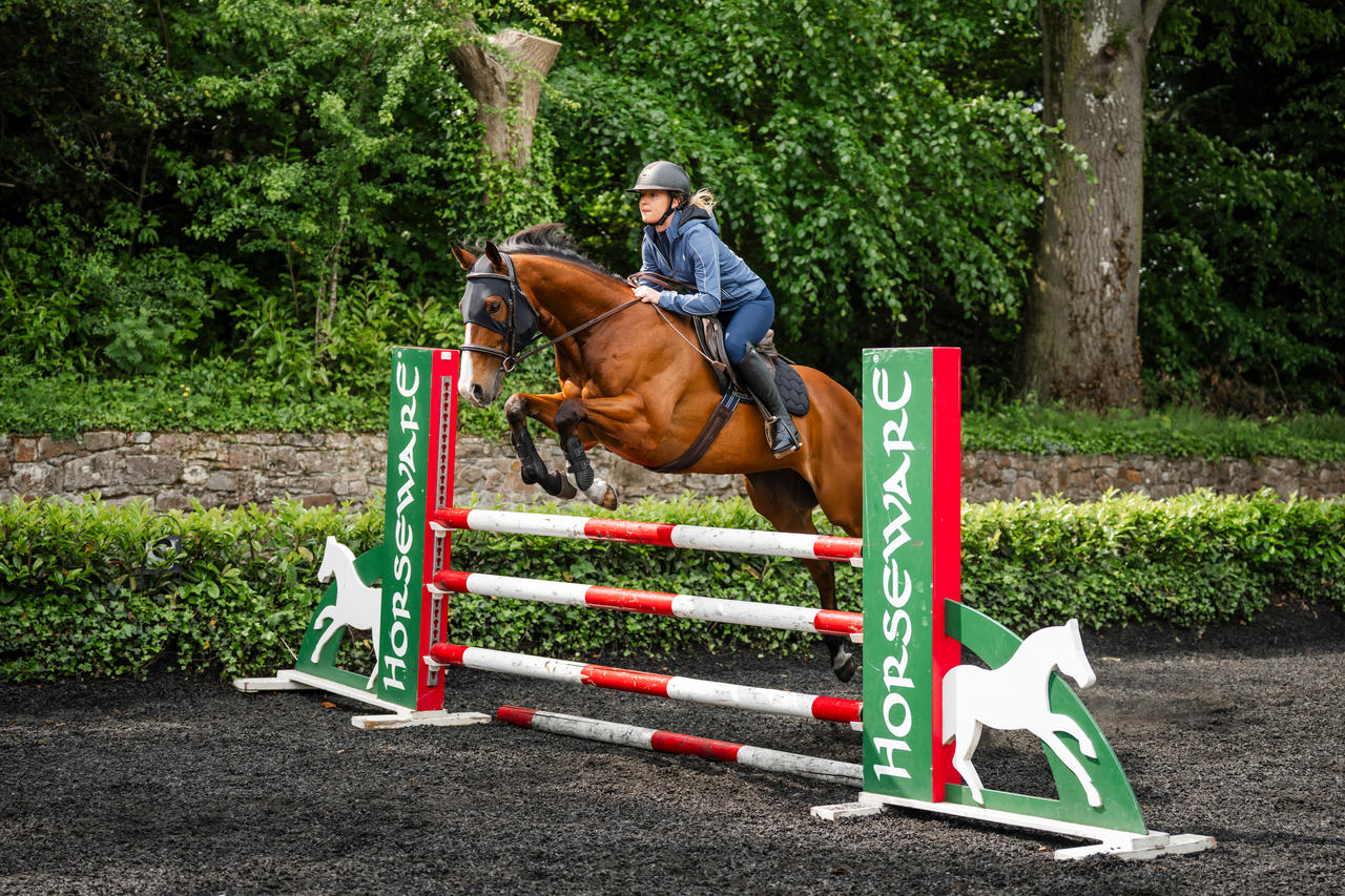 Horseware Ionic Calming Face Mask