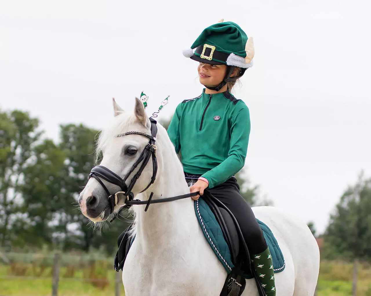 QHP Reithelm-Überzug Elf