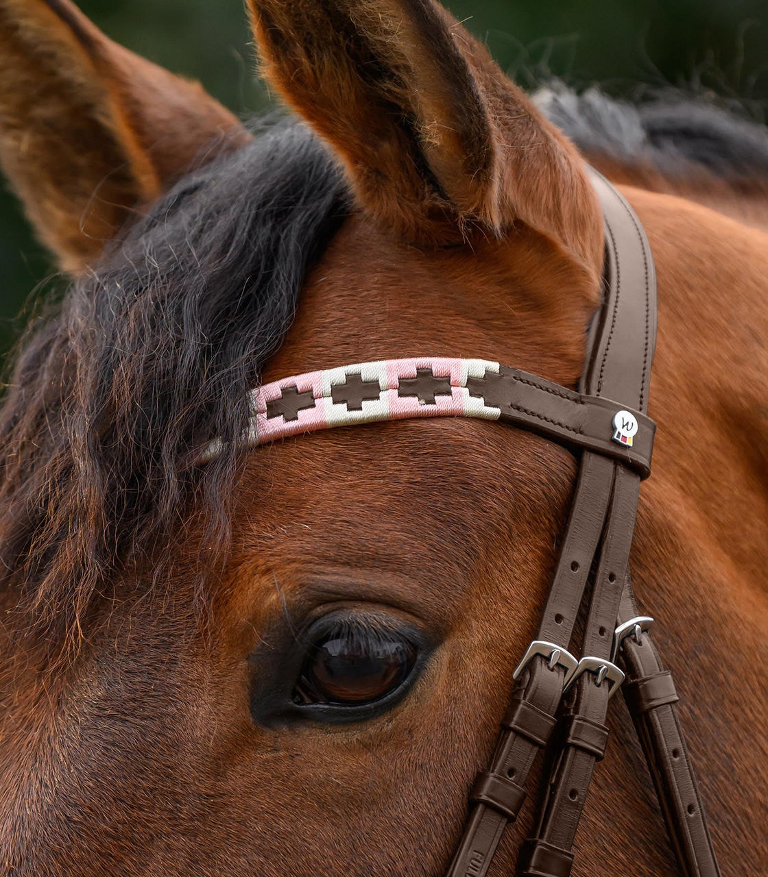 Waldhausen Frontalino X-Line Polo, marrone