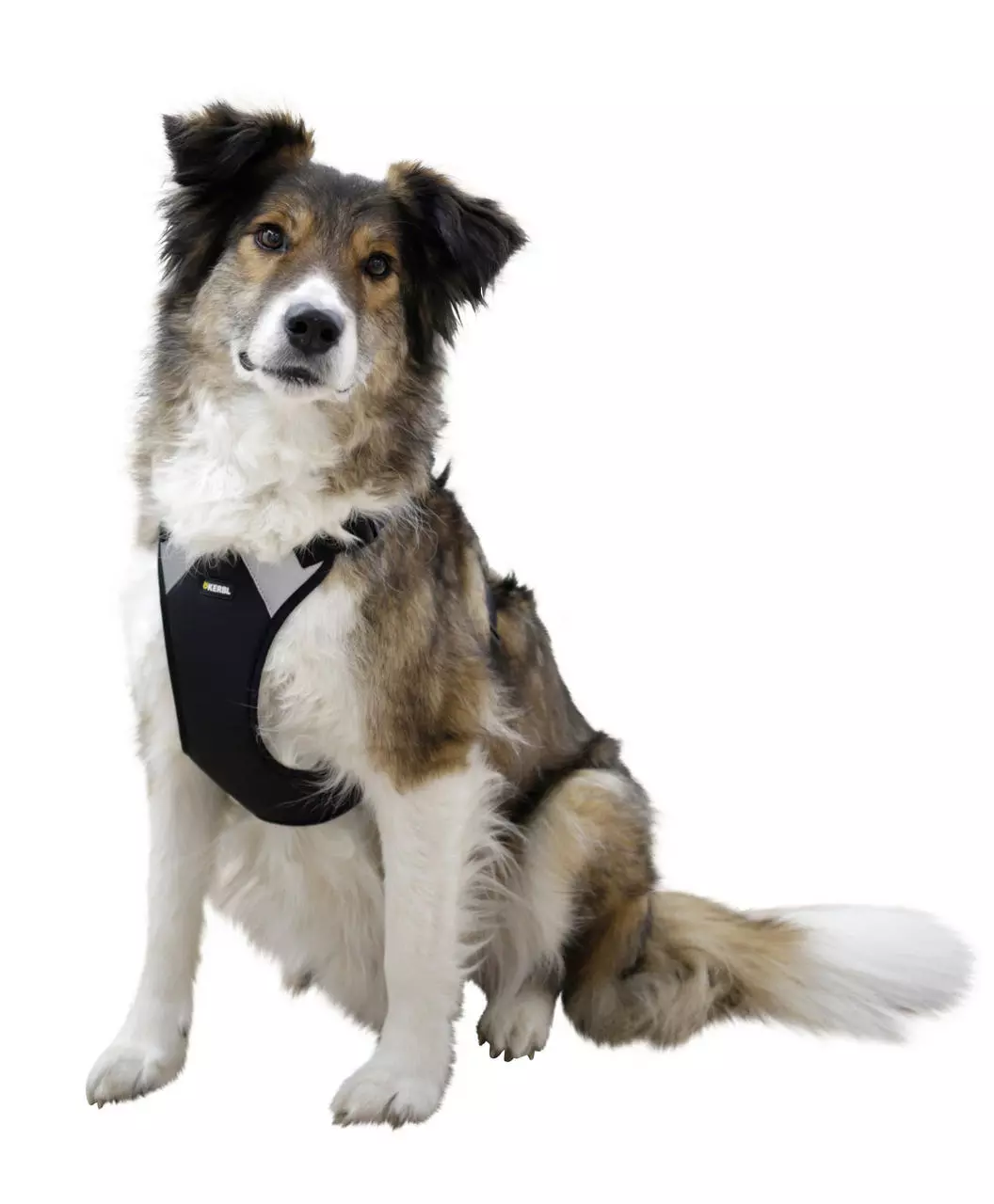 Kerbl Hundegeschirr Pulsive