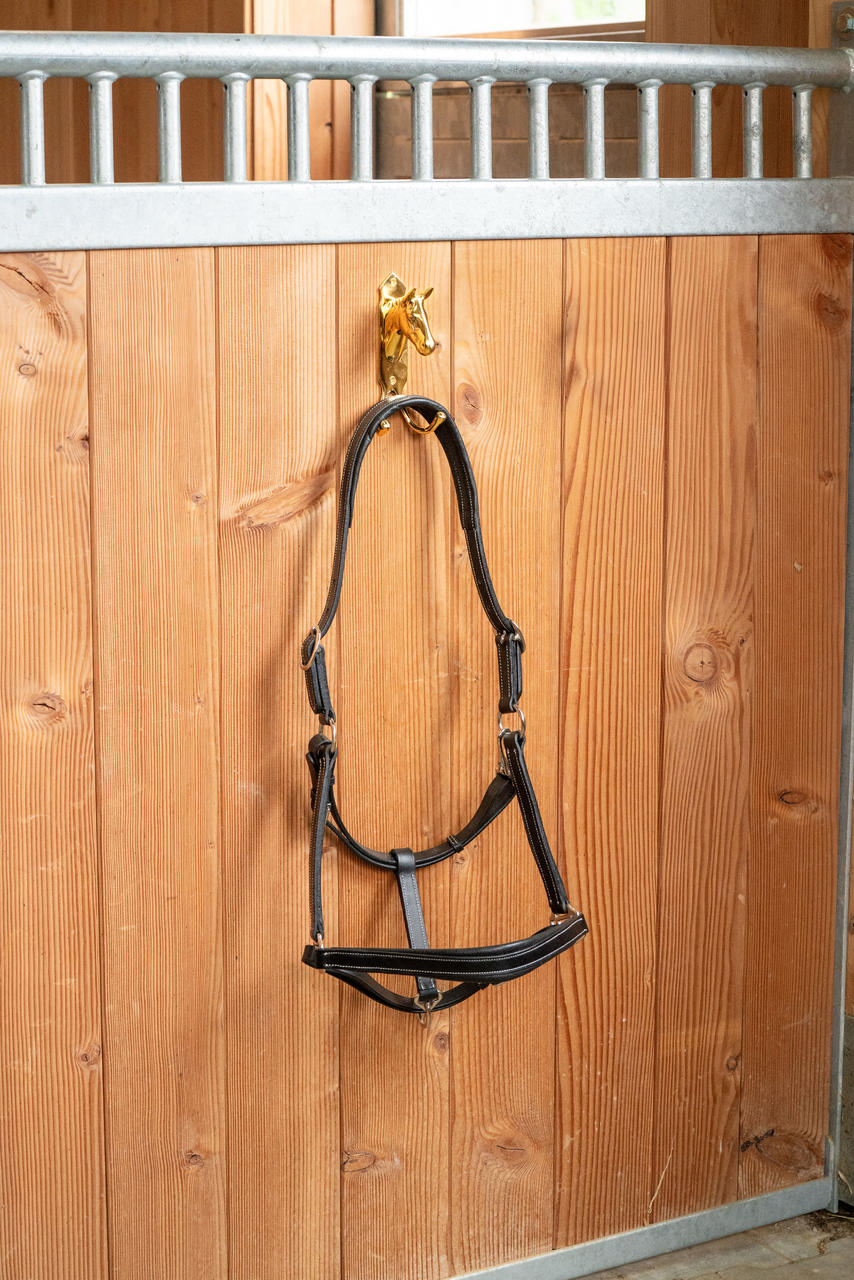 HKM Supporto per testa di cavallo con doppio gancio