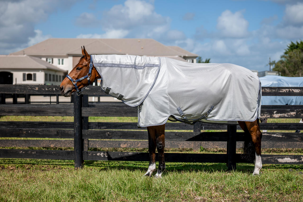 Horseware Coperta anti-mosche Amigo Bug Rug XL Plus Horseware Coperta anti-mosche Amigo Bug Rug XL Plus