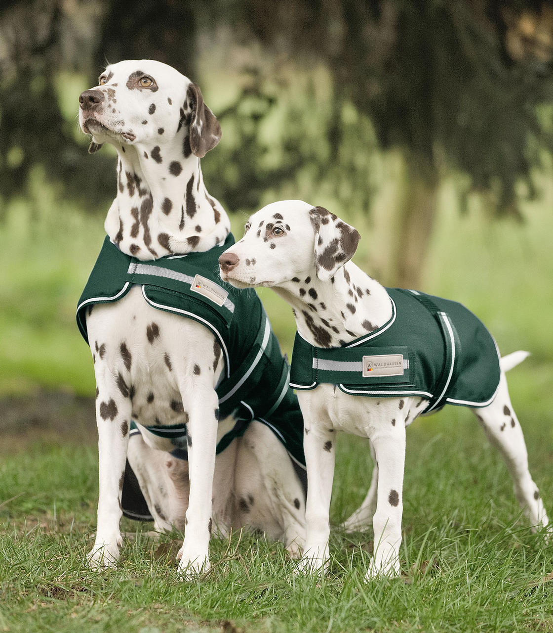 Waldhausen Couverture imperméable pour chiens