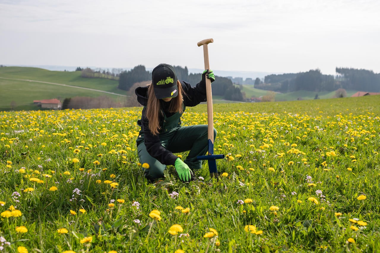 Freund Victoria Manico di ricambio per estirpatore di infestanti