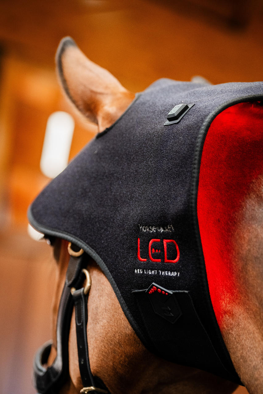 Horseware Cappuccio per sondino con luce rossa a LED