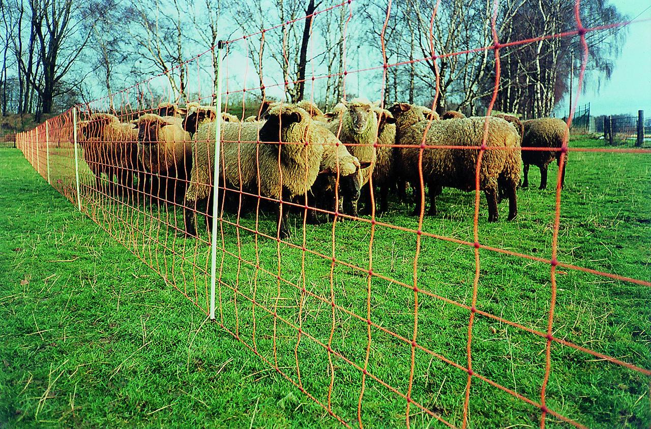 Göbel Euronetz – rete per ovini, alta 90 cm