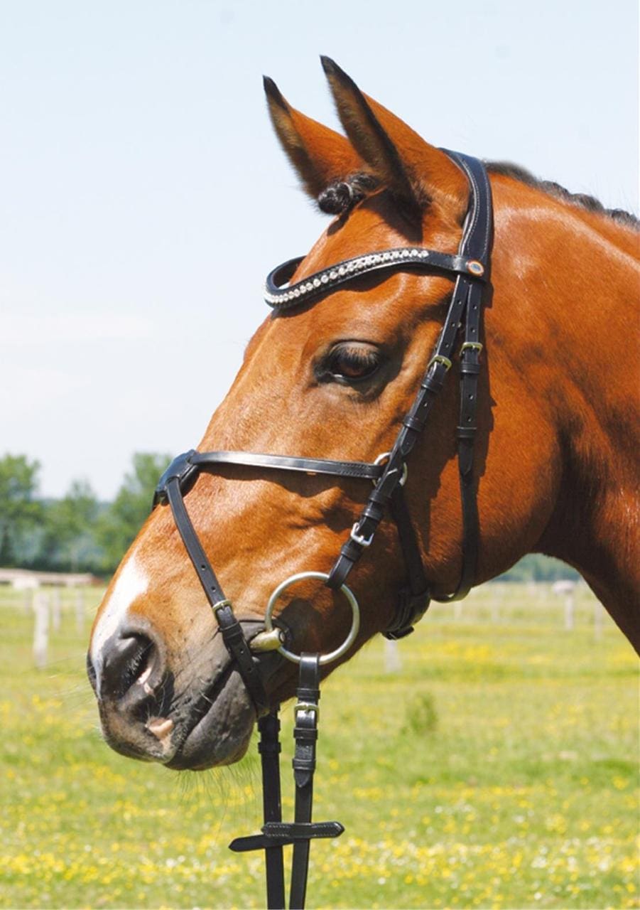 Hans Melzer Snaffle Valluhn, messicano