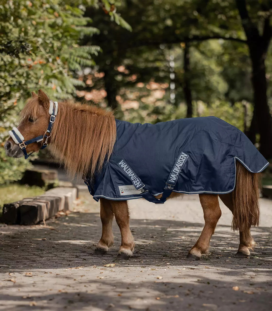 Waldhausen Shetty-Regendecke Light
