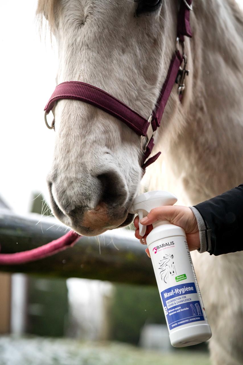 BÄRALIS Nr. 5 Maul-Spray