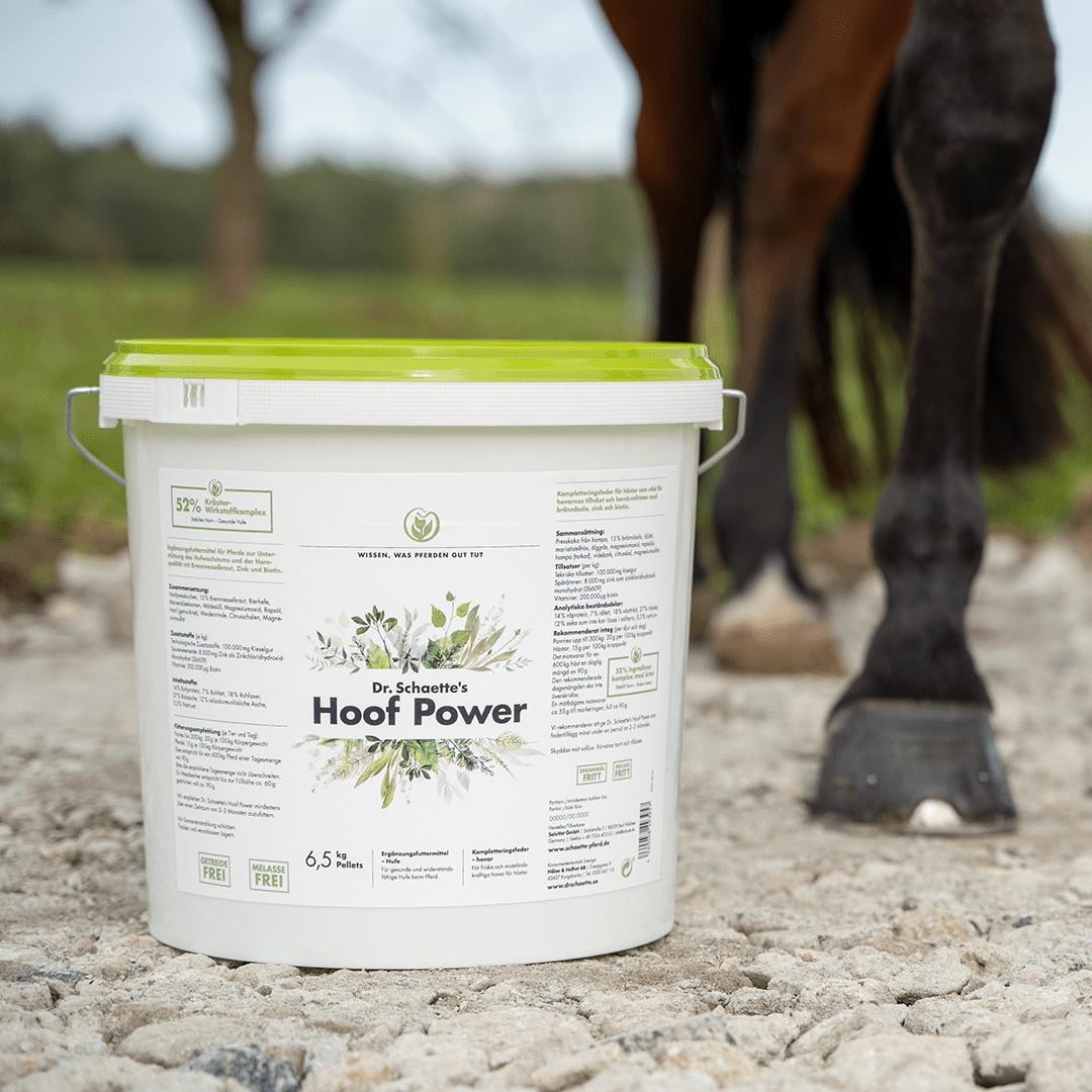 Dr. Schaette ´s Hoof Power