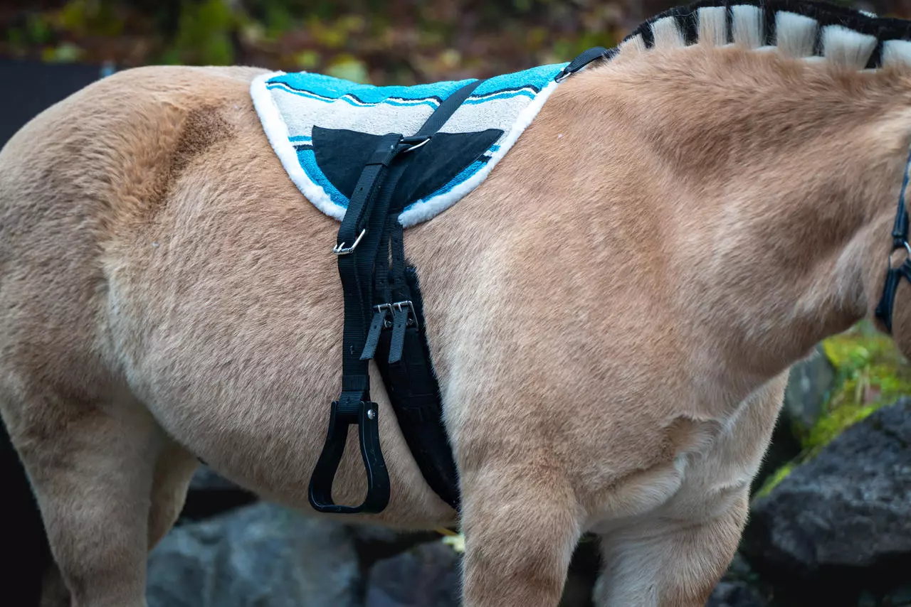 Bareback Pad Navajo