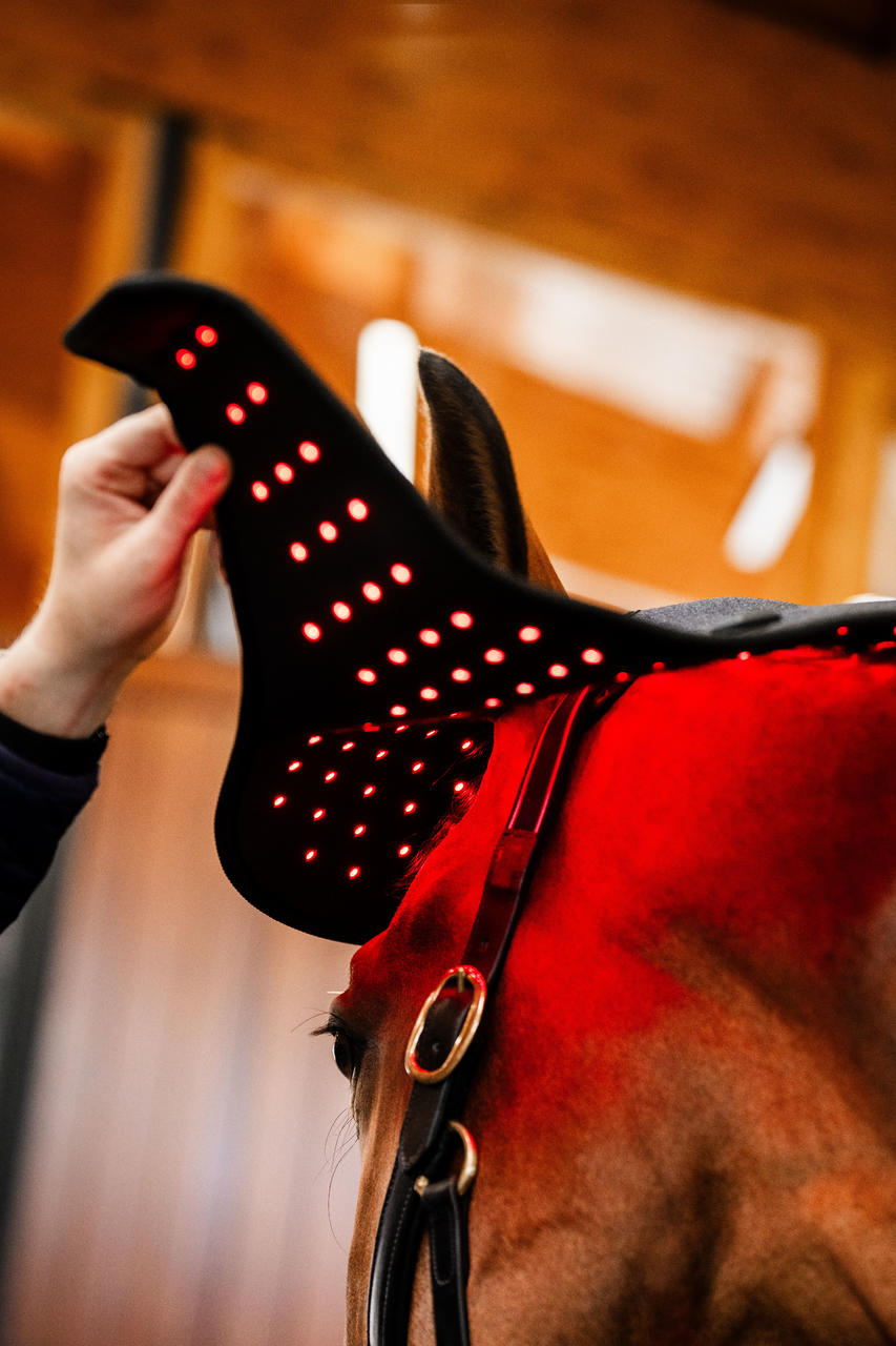 Horseware Cappuccio per sondino con luce rossa a LED