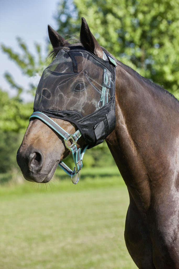 USG Maschera antimosche senza protezione orecchie USG Maschera antimosche senza protezione orecchie
