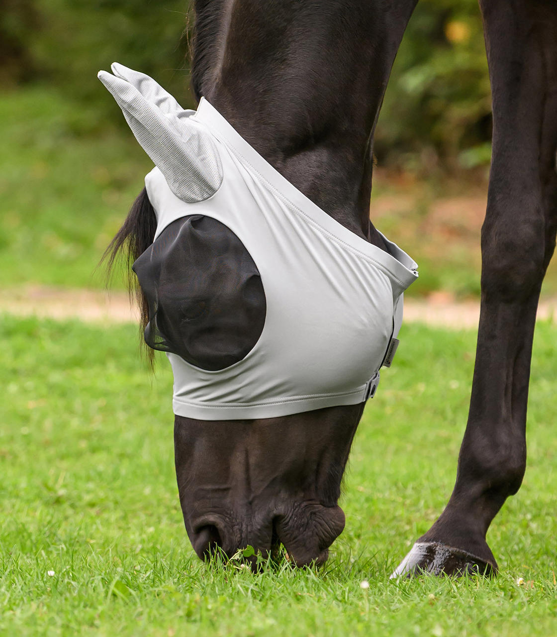 WAHL-Hausmarke Maschera antimosche Wahl-Hausmarke Puck