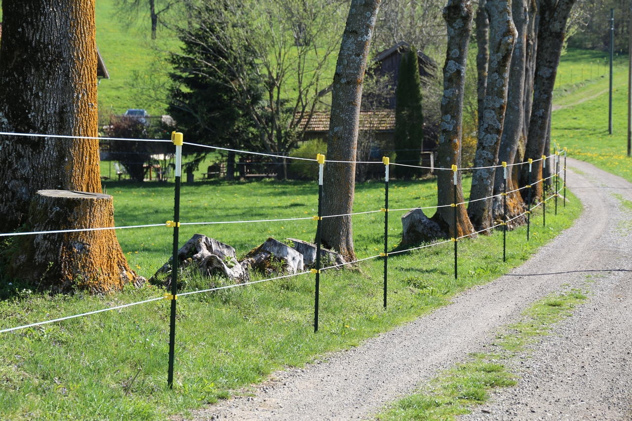 WAHL-FENCE CORDON DE CLÔTURE - ULTRA - 6mm/500m