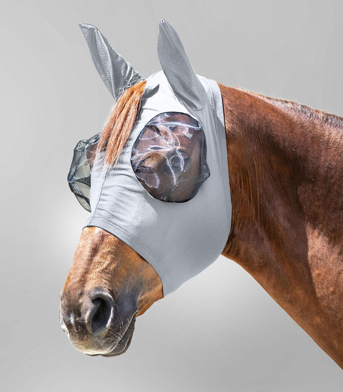 WAHL-Hausmarke Maschera antimosche Wahl-Hausmarke Puck