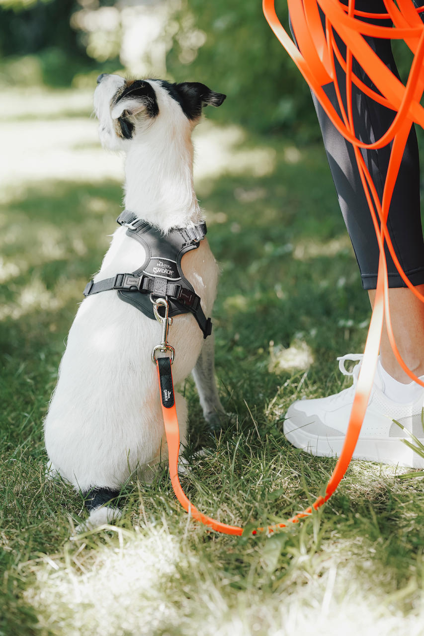 Eskadron Guinzaglio per cani SPARK TRACKING