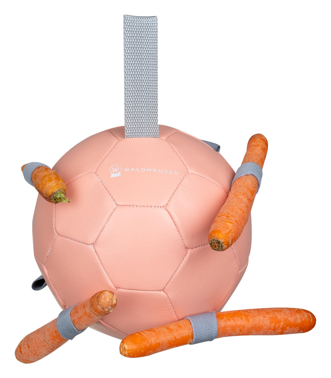Waldhausen Karottenball