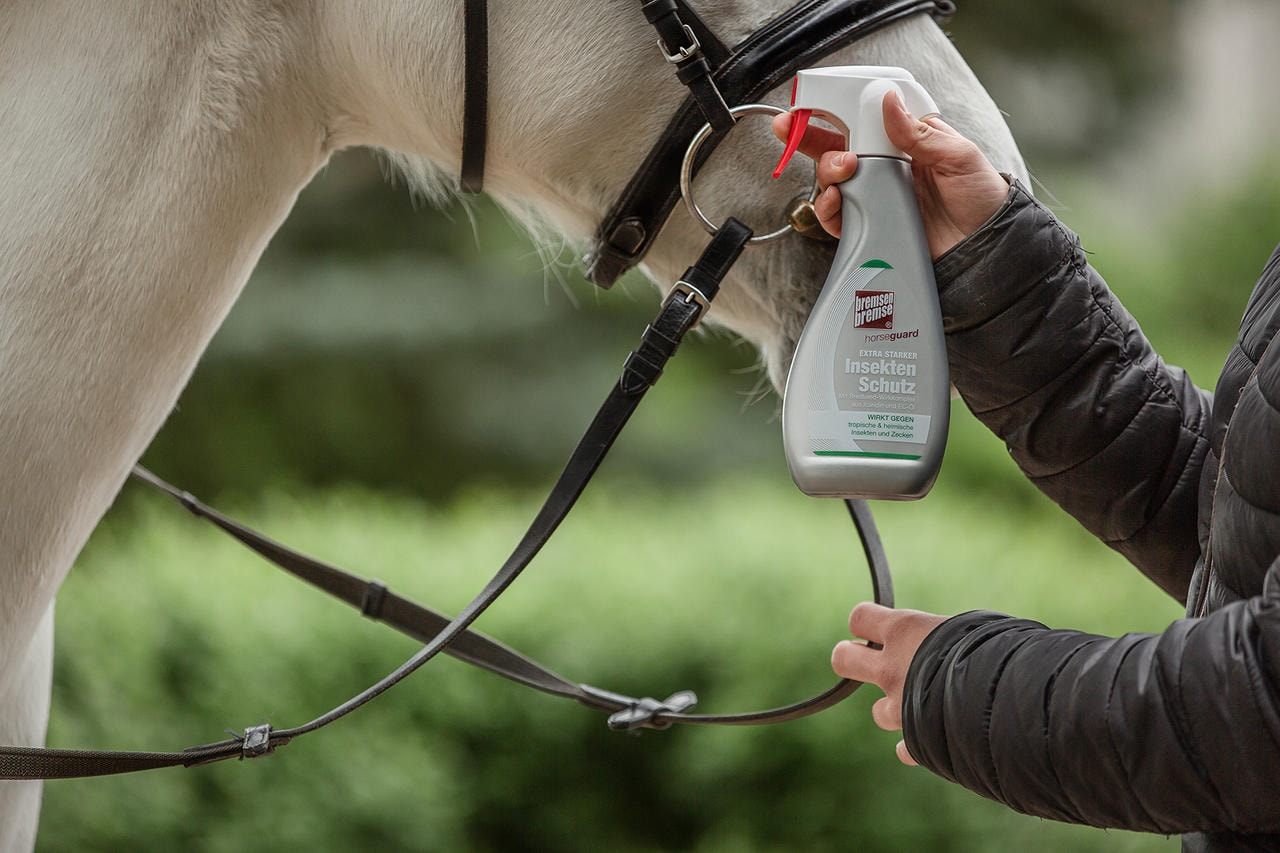 Zedan Insektenschutz - horseguard -