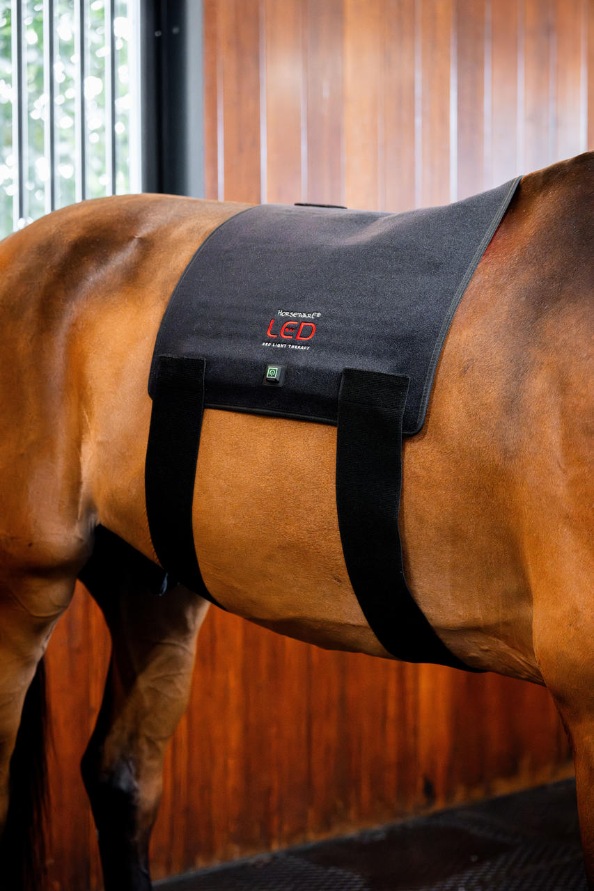 Horseware LED Red Light Therapy Pad