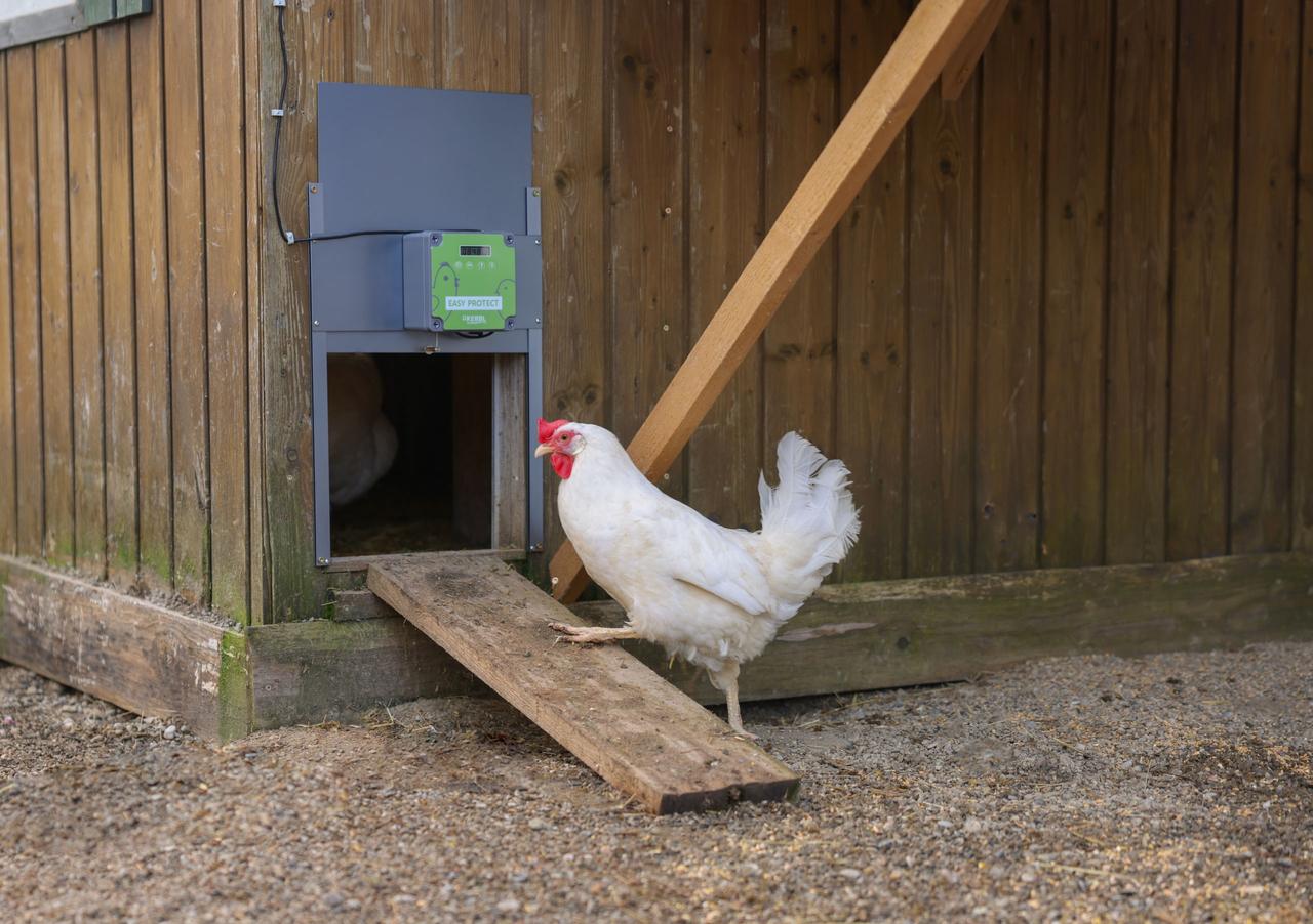 Kerbl Automatische Hühnertür EasyProtect