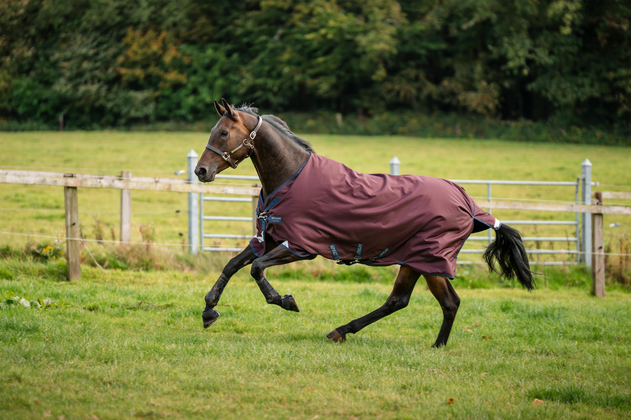 Horseware Amigo 1200D Turnout 0g